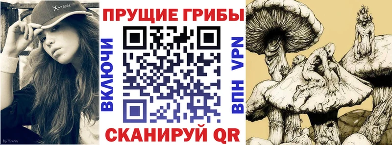 Псилоцибиновые грибы Magic Shrooms  Порхов 